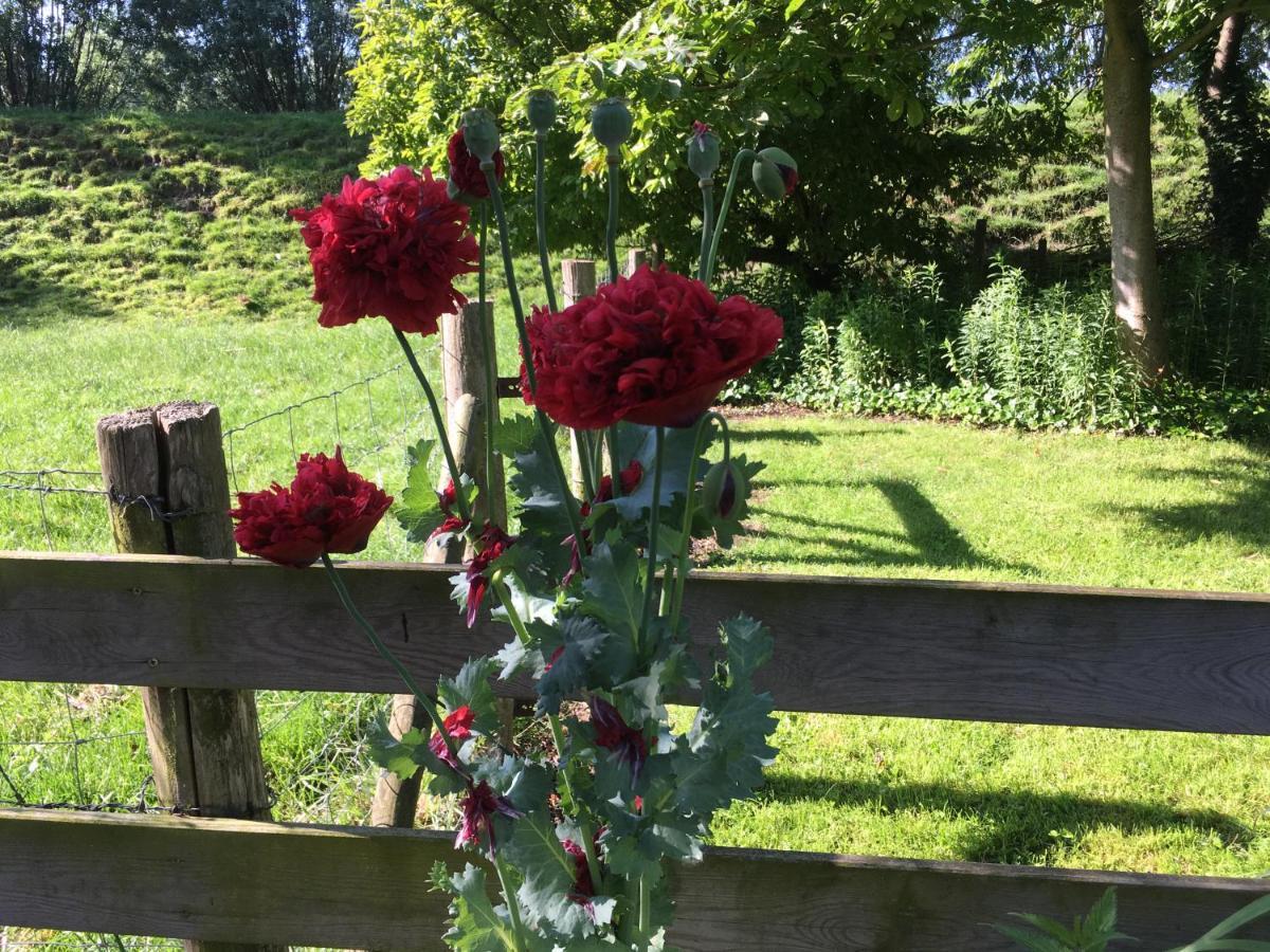 B&B De Tol Hulst Zewnętrze zdjęcie
