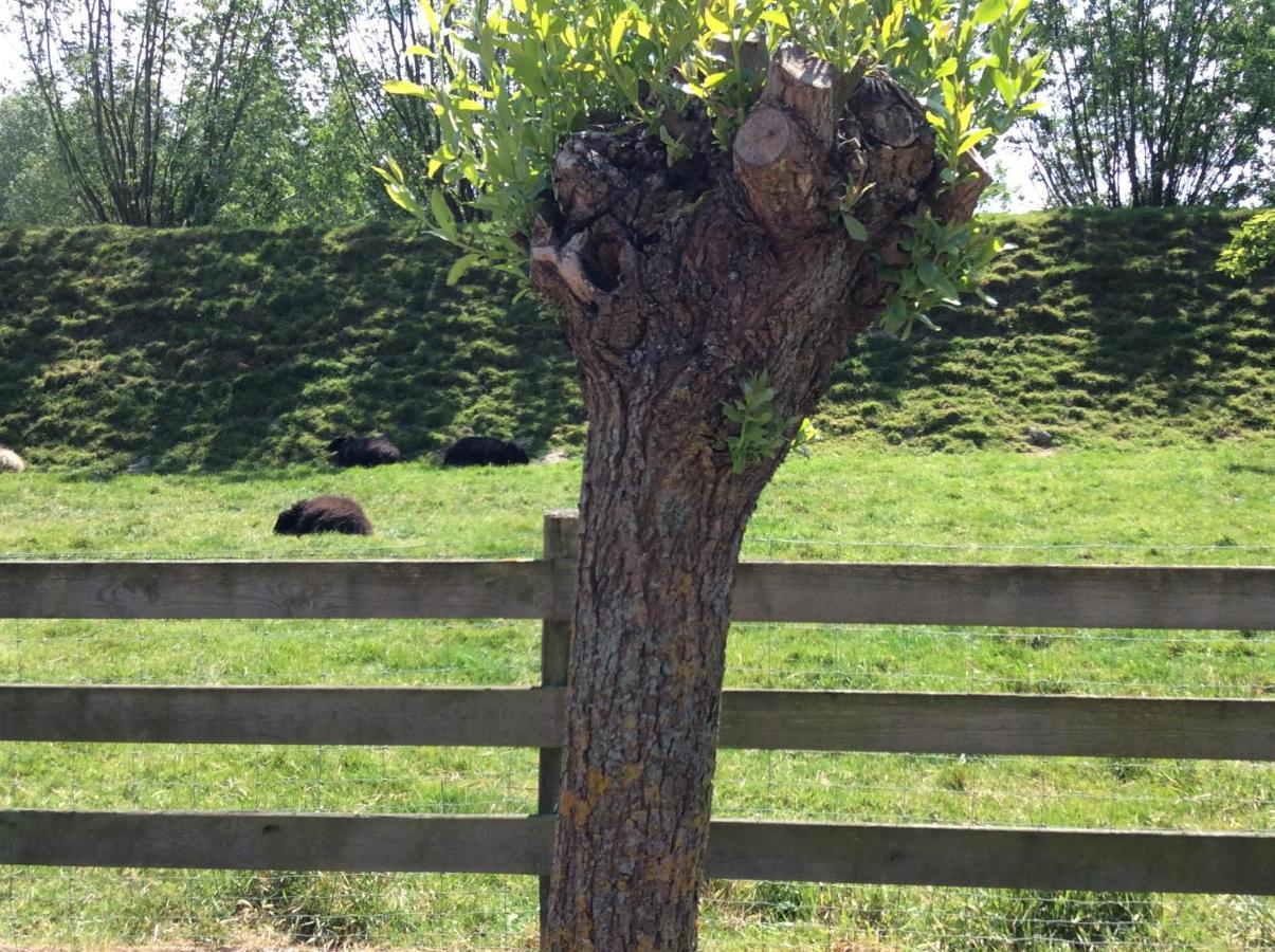 B&B De Tol Hulst Zewnętrze zdjęcie