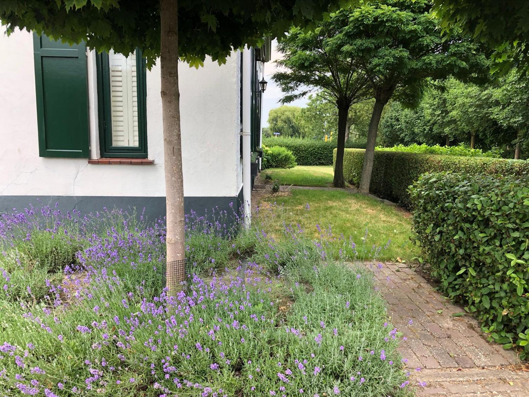 B&B De Tol Hulst Zewnętrze zdjęcie