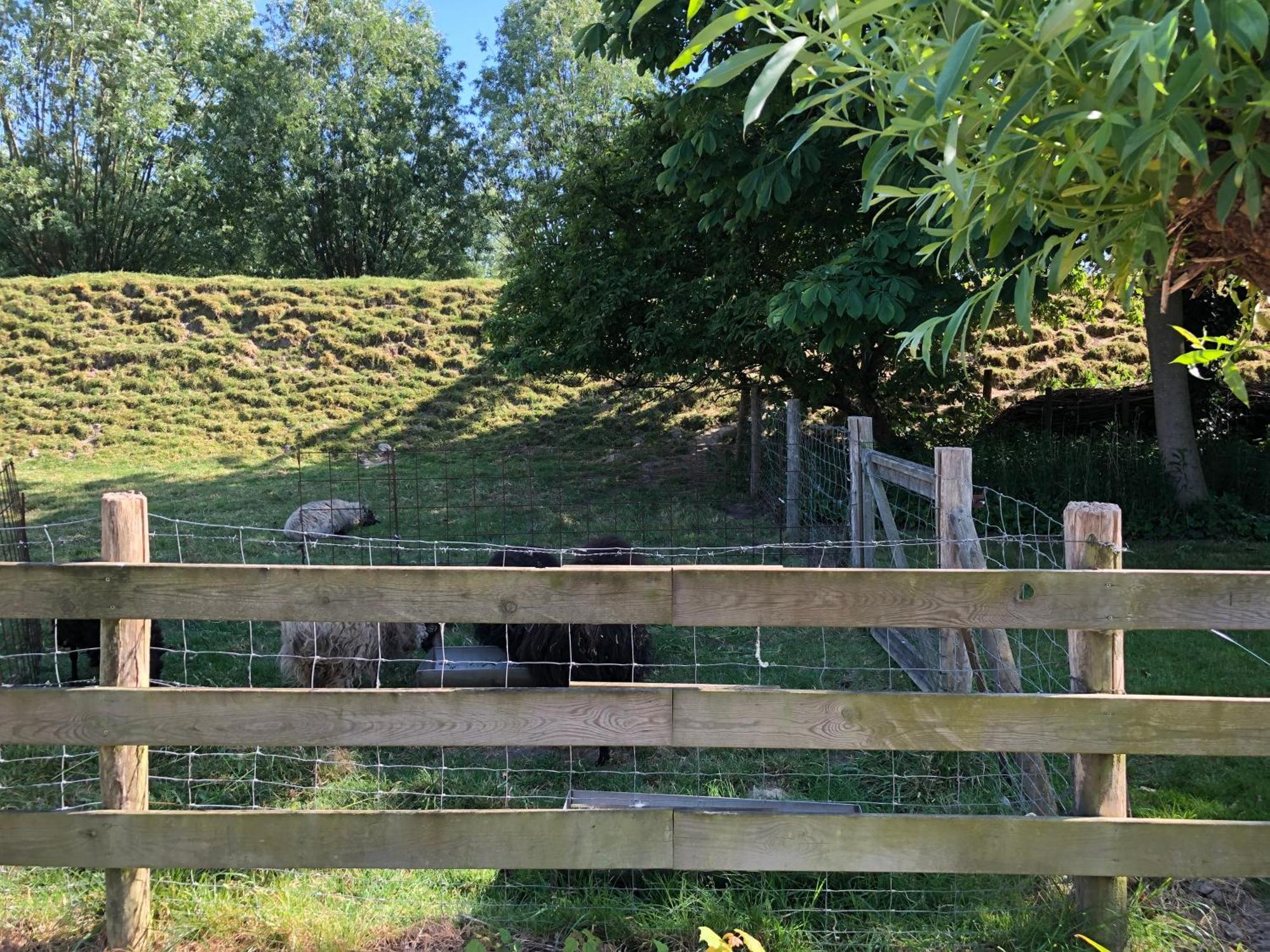 B&B De Tol Hulst Zewnętrze zdjęcie